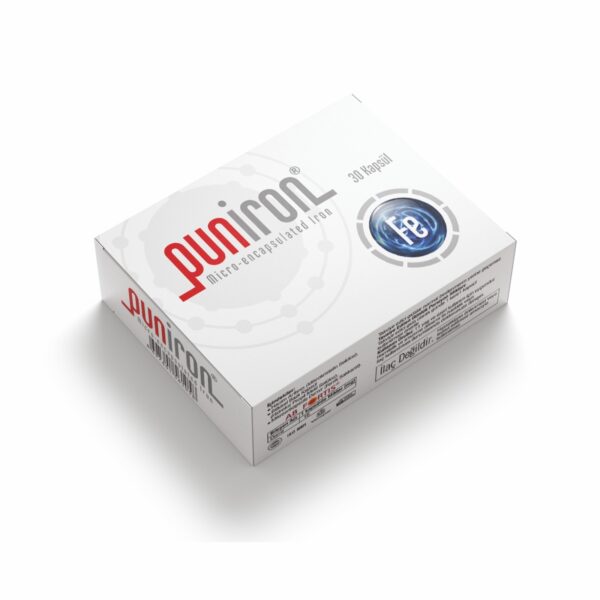 Demir Takviyesi (Puniron)